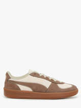 Sneakers Palermo Wine Club Uit Leder Puma Bruin accessoires 40334901